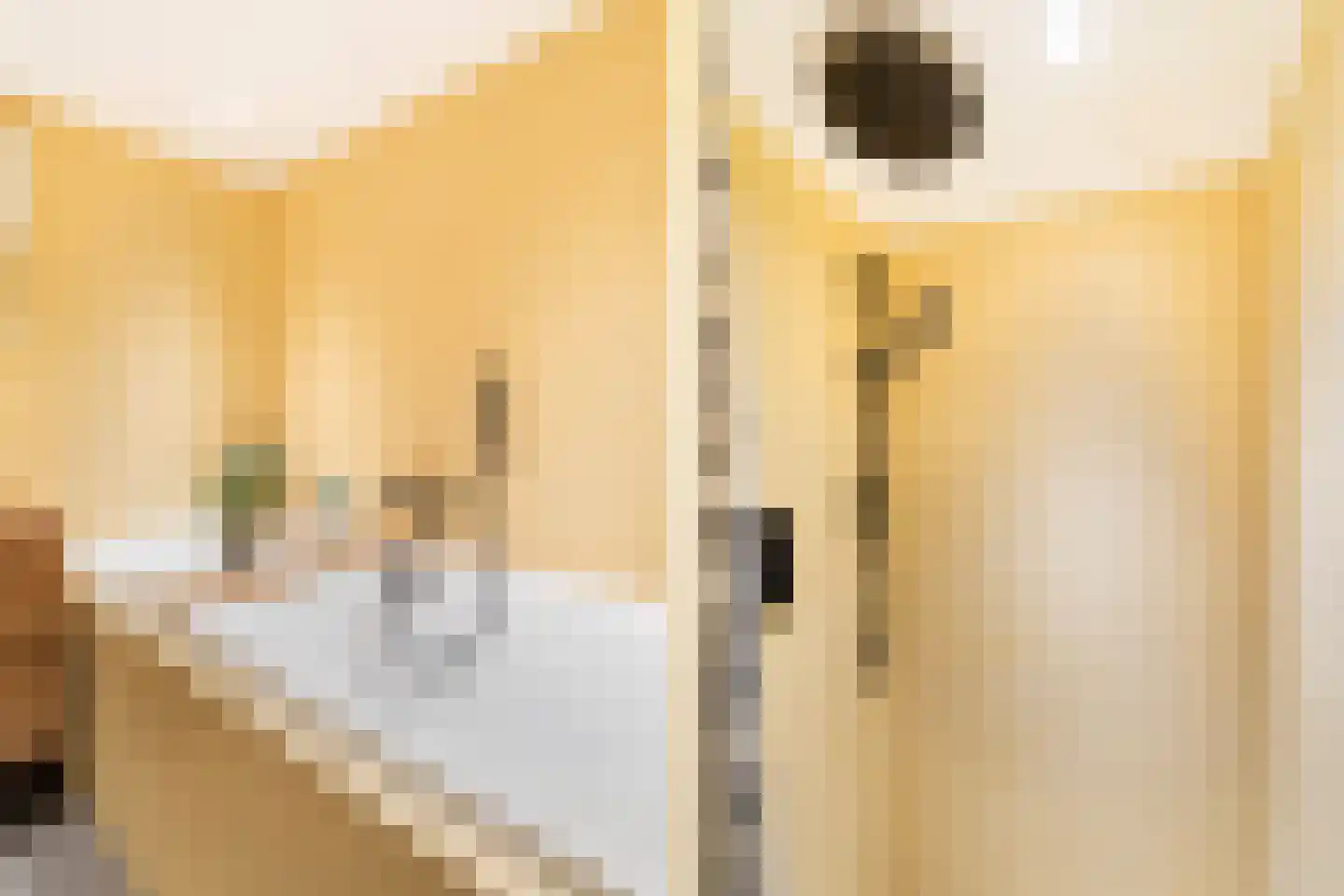 Mondriaan 5 Monster thumbnail 47
