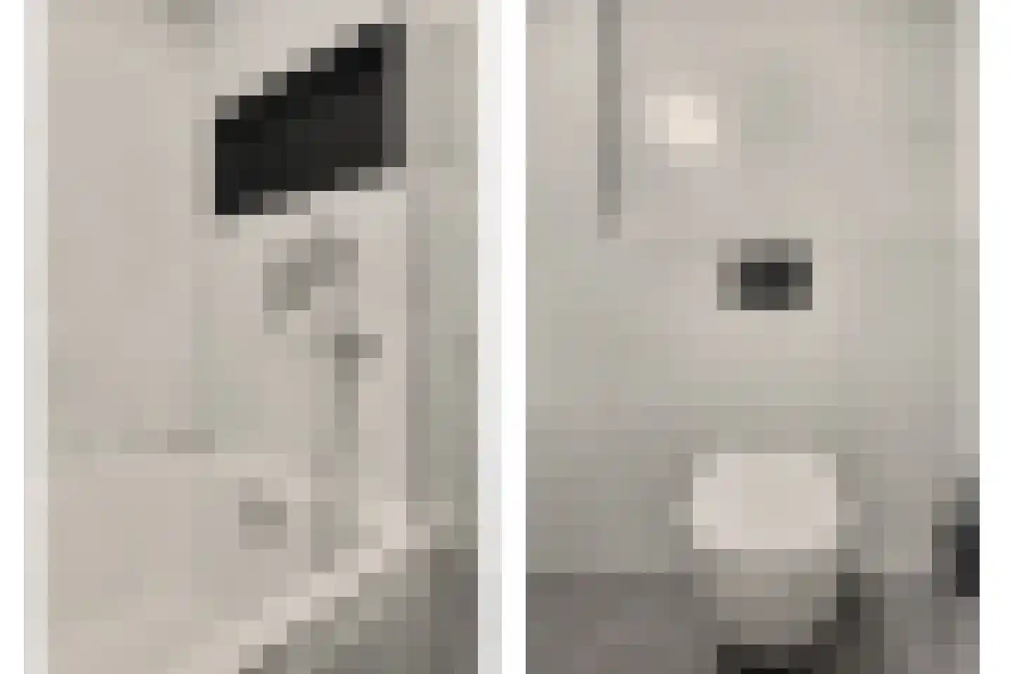 Mondriaan 8 Monster thumbnail 28
