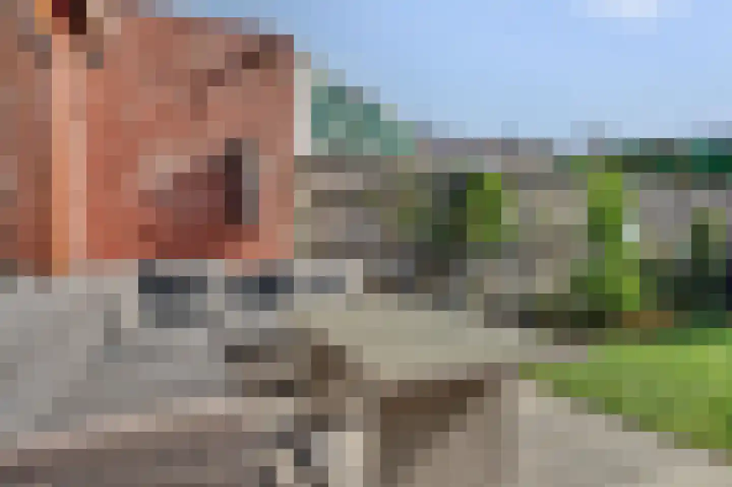 Mondriaan 8 Monster thumbnail 33