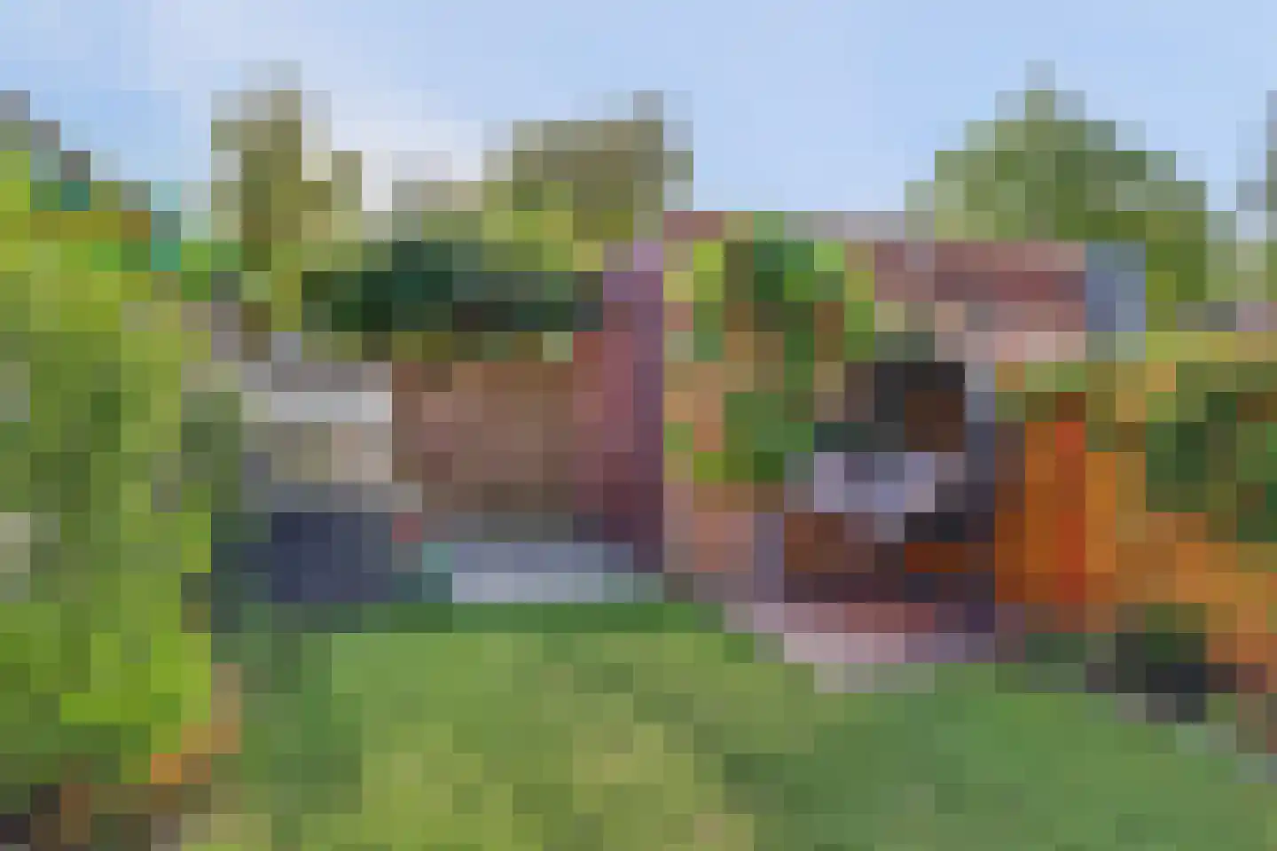 Mondriaan 8 Monster thumbnail 34