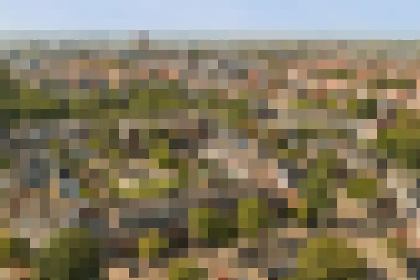 Mondriaan 8 Monster thumbnail 38