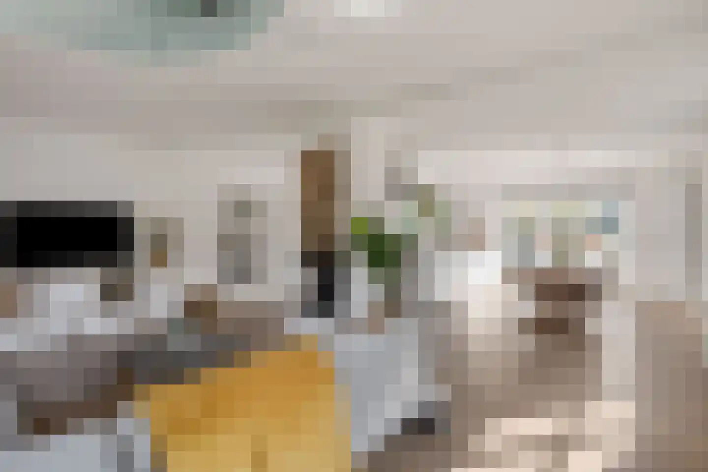 Mondriaanhof 6 Eindhoven thumbnail 13