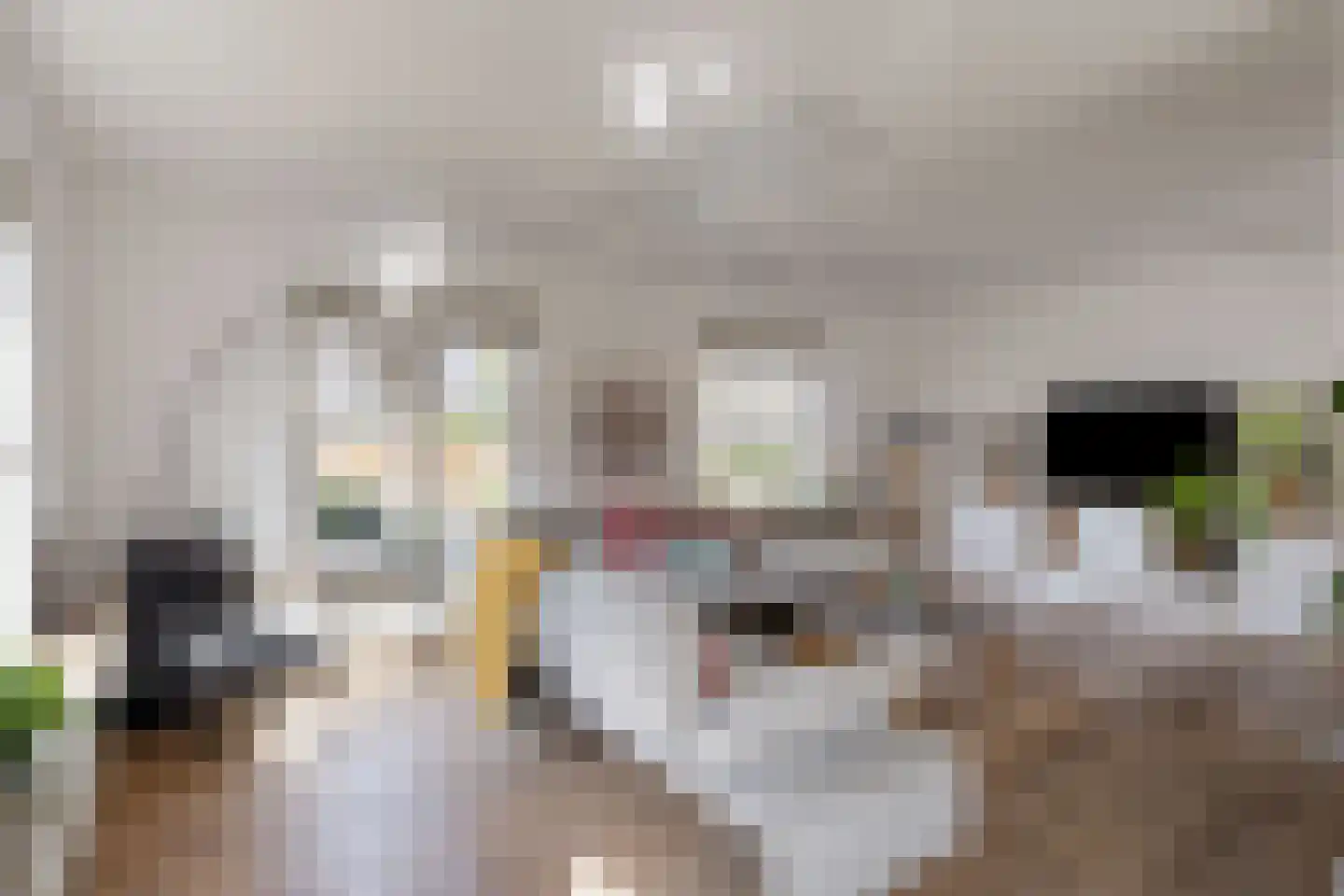Mondriaanhof 6 Eindhoven thumbnail 14