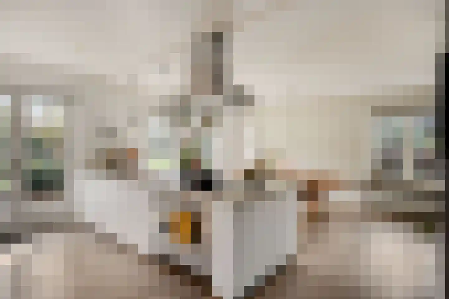Mondriaanhof 6 Eindhoven thumbnail 22