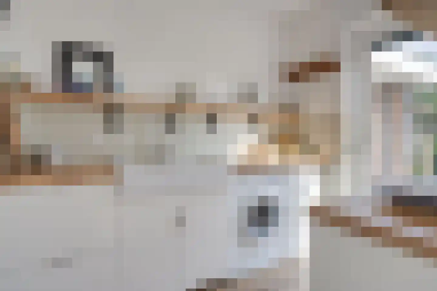 Mondriaanhof 6 Eindhoven thumbnail 27