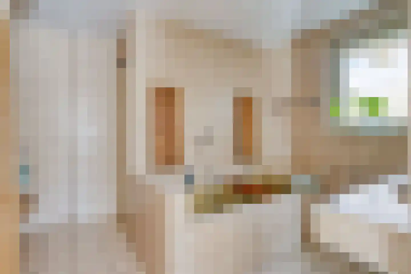 Mondriaanhof 6 Eindhoven thumbnail 30