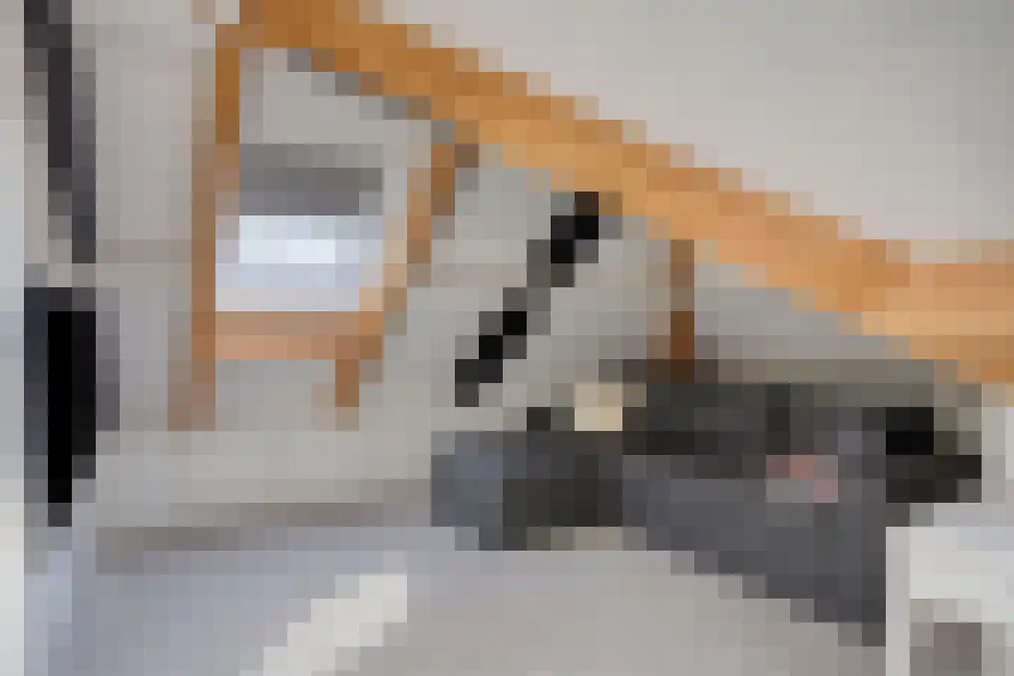 Mondriaanhof 6 Eindhoven thumbnail 40