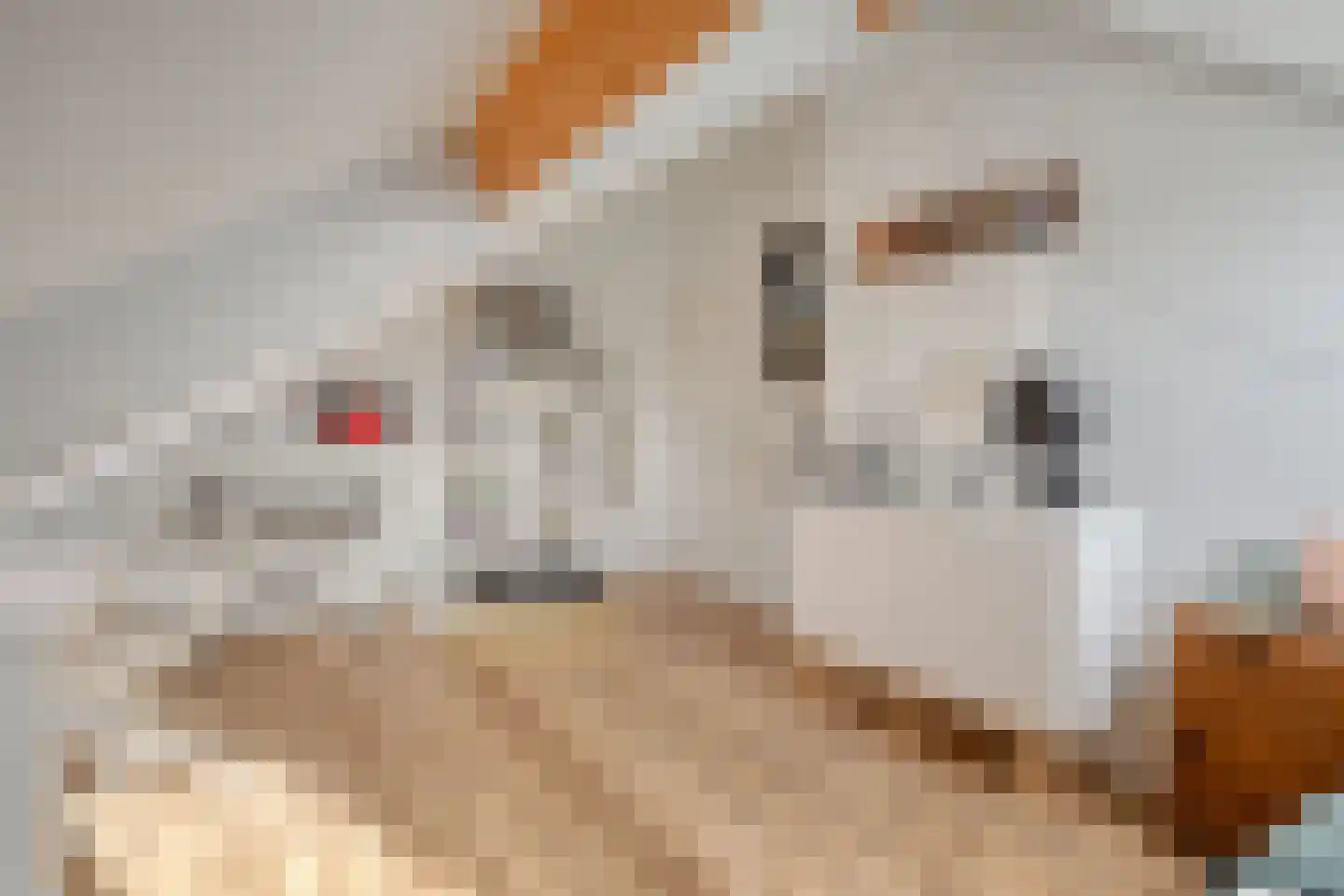 Mondriaanhof 6 Eindhoven thumbnail 45
