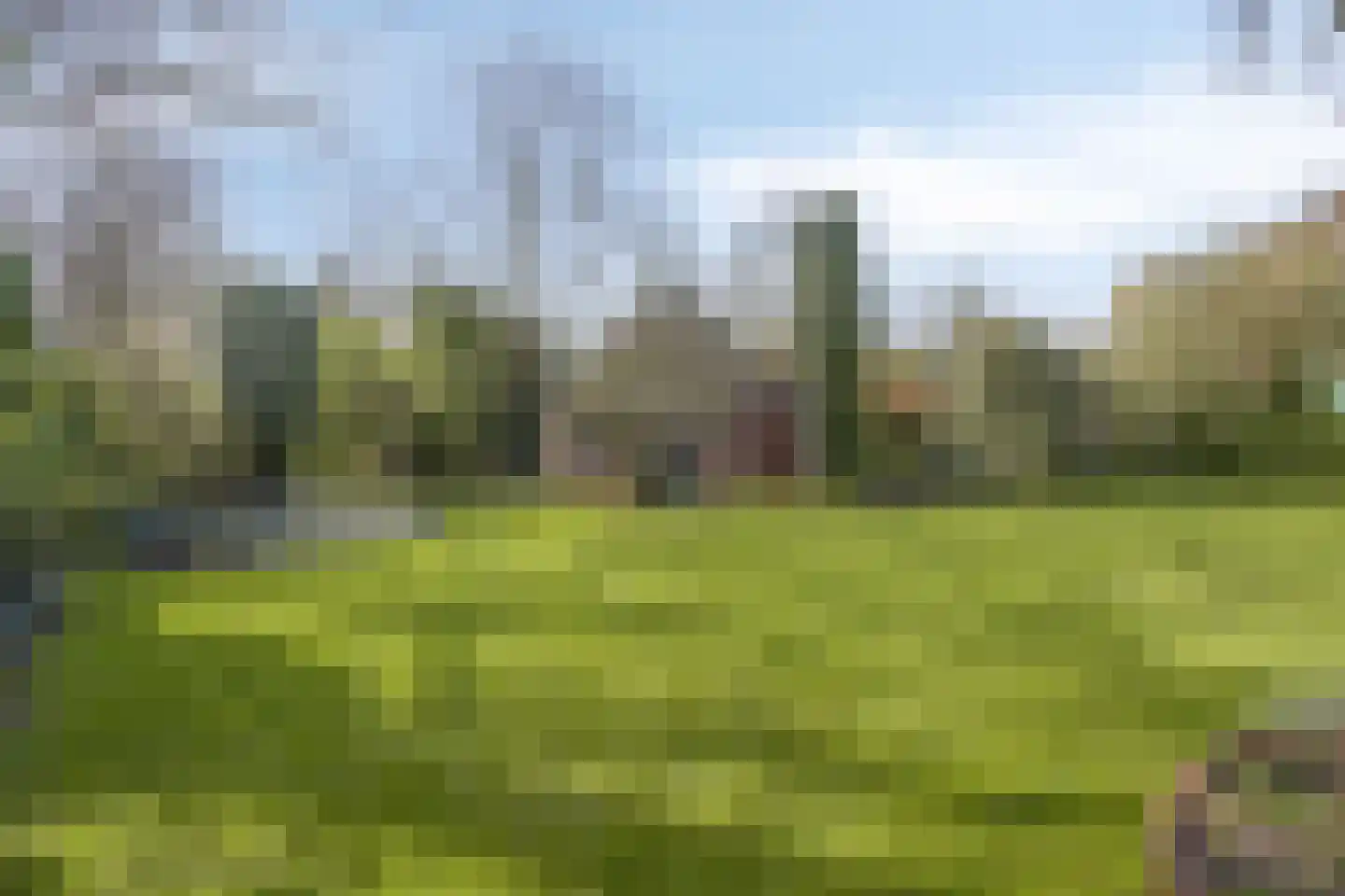 Mondriaanhof 6 Eindhoven thumbnail 55