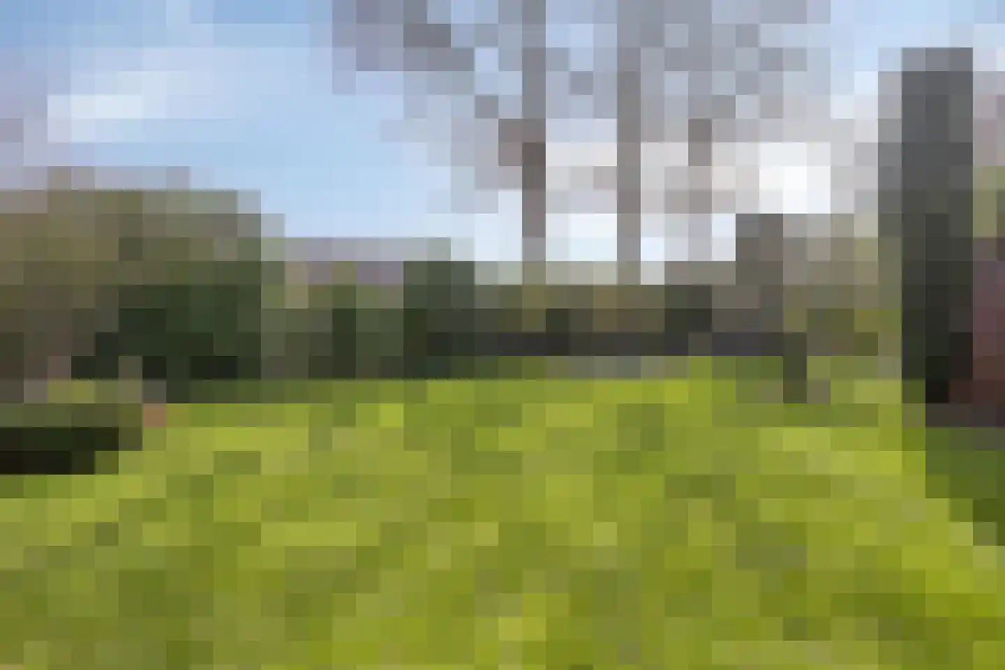 Mondriaanhof 6 Eindhoven thumbnail 56