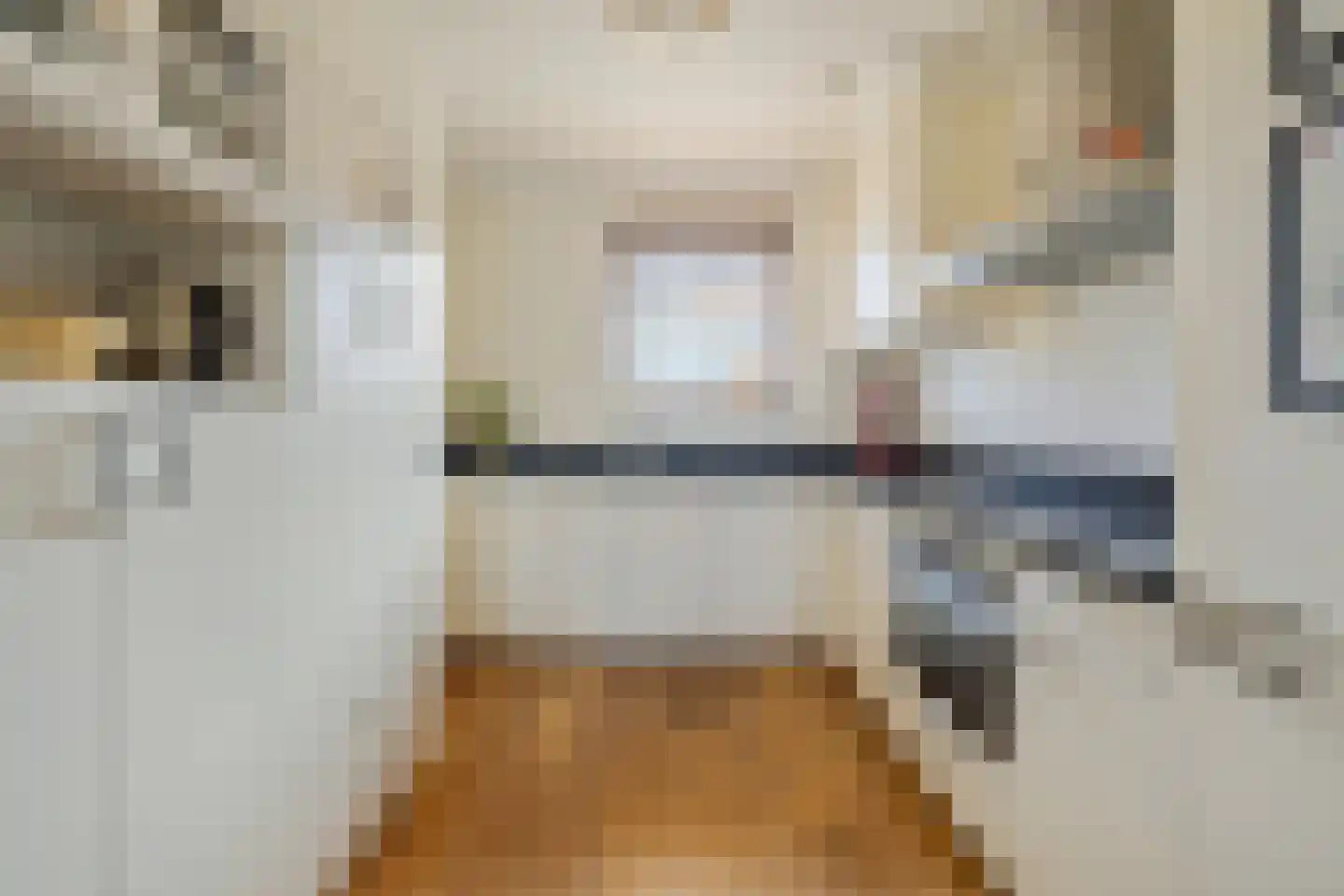 Mondriaanlaan 14 Blaricum thumbnail 11