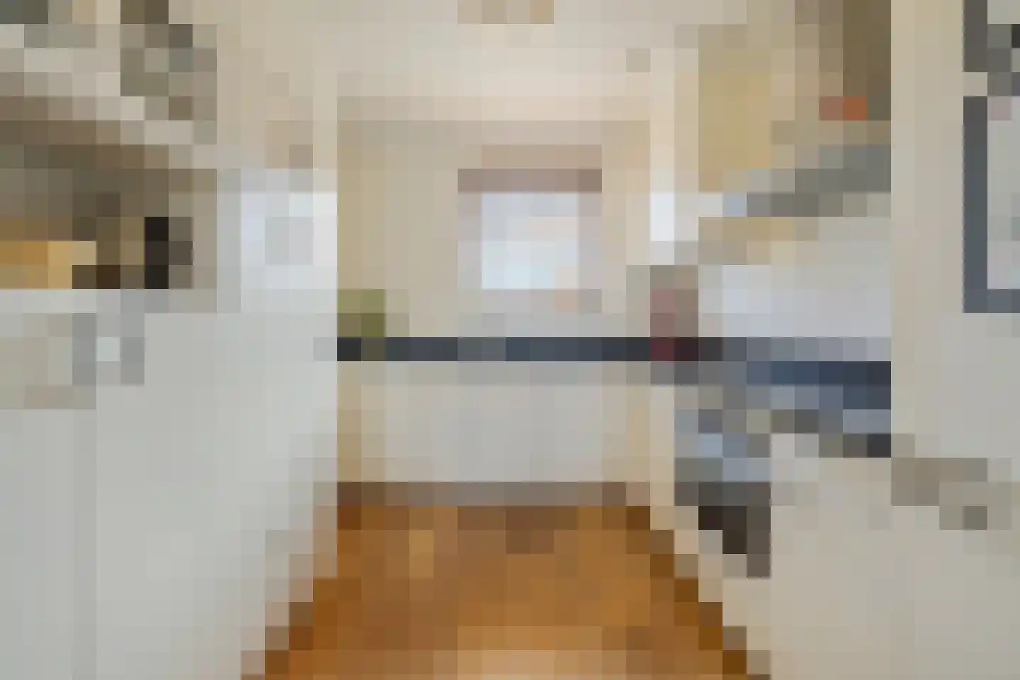 Mondriaanlaan 14 Blaricum thumbnail 15