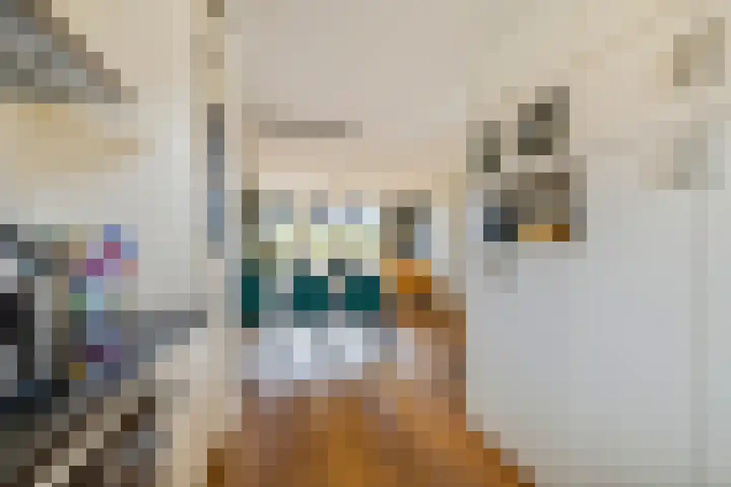Mondriaanlaan 14 Blaricum thumbnail 17