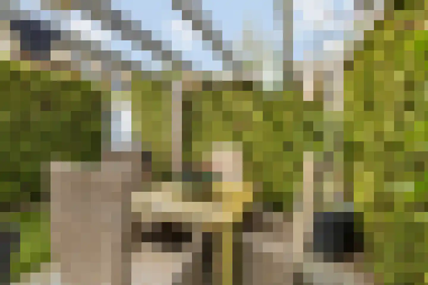 Mondriaanlaan 14 Blaricum thumbnail 19