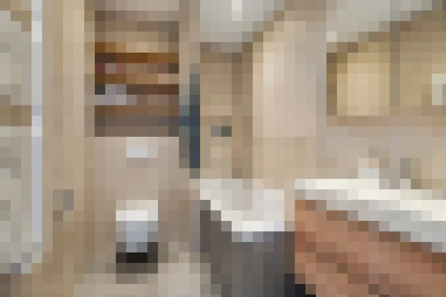 Mondriaanlaan 14 Blaricum thumbnail 25