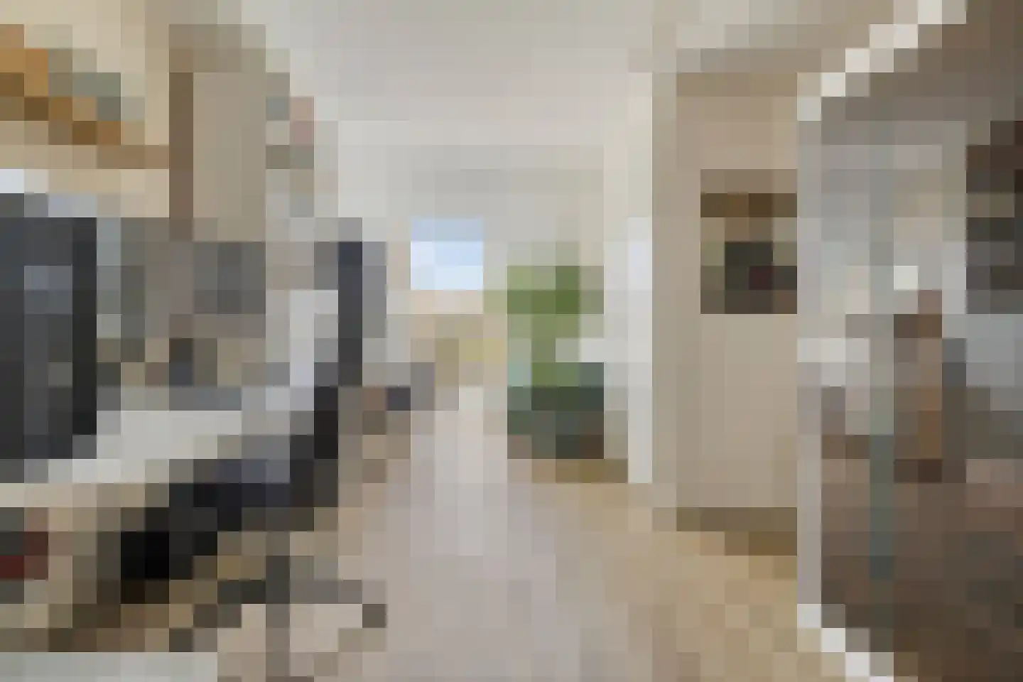 Mondriaanlaan 14 Blaricum thumbnail 28