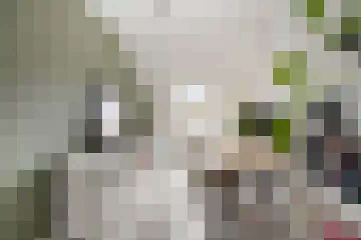 Mondriaanlaan 14 Lopik thumbnail 13