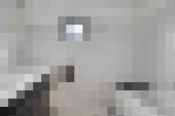 Mondriaanlaan 14 Lopik thumbnail 17