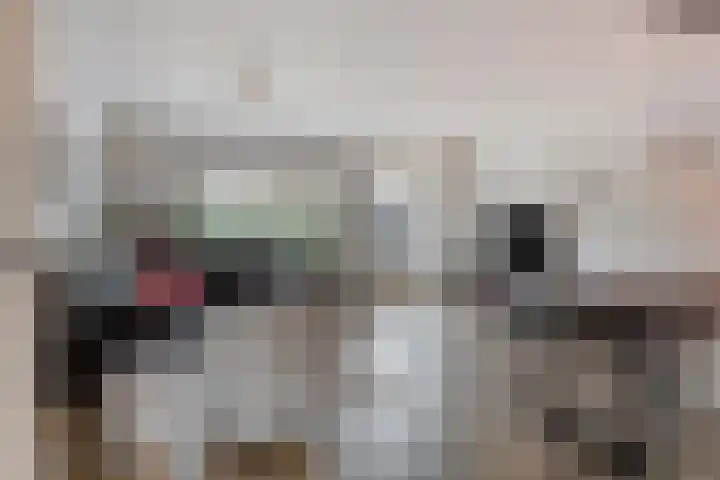 Mondriaanlaan 14 Lopik foto 2