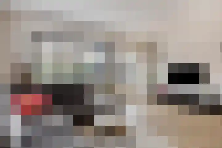 Mondriaanlaan 14 Lopik thumbnail 8