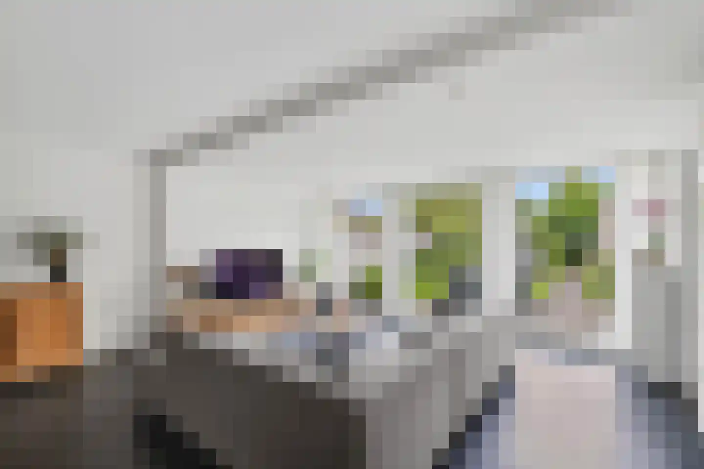 Mondriaanlaan 14 Wageningen thumbnail 13