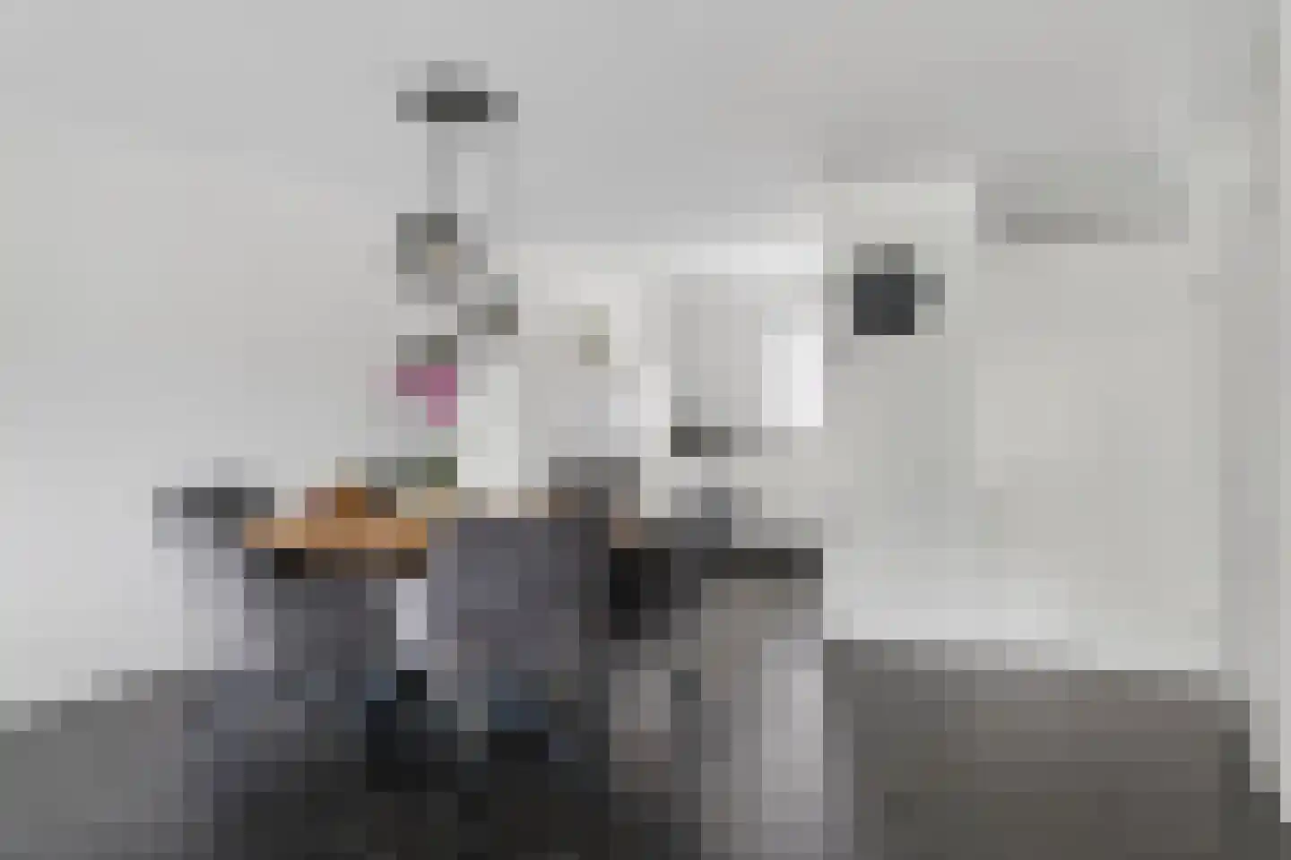 Mondriaanlaan 14 Wageningen thumbnail 17