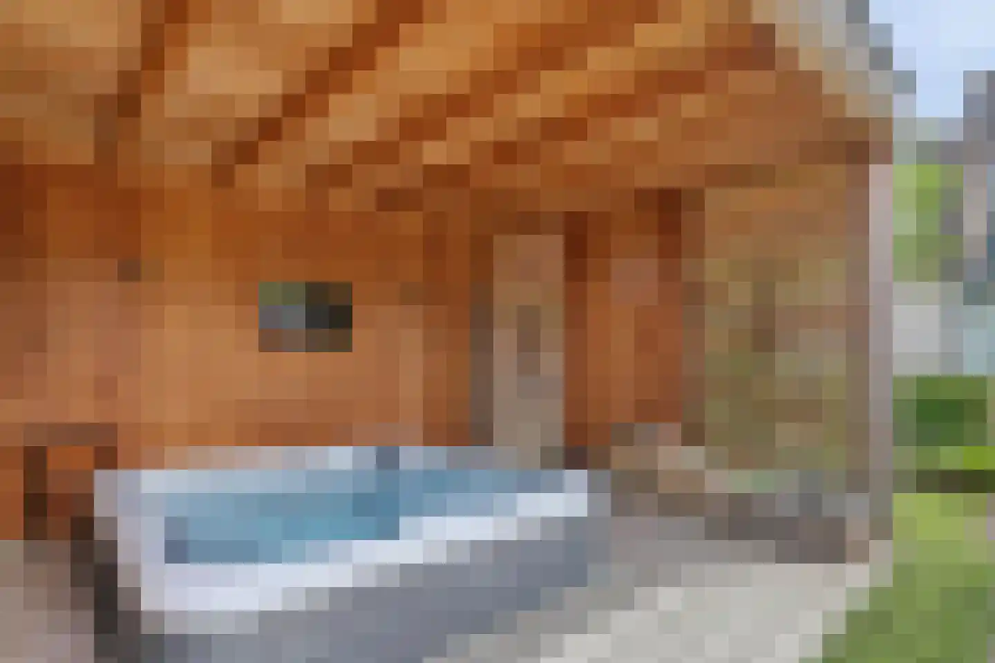 Mondriaanlaan 14 Wageningen thumbnail 41