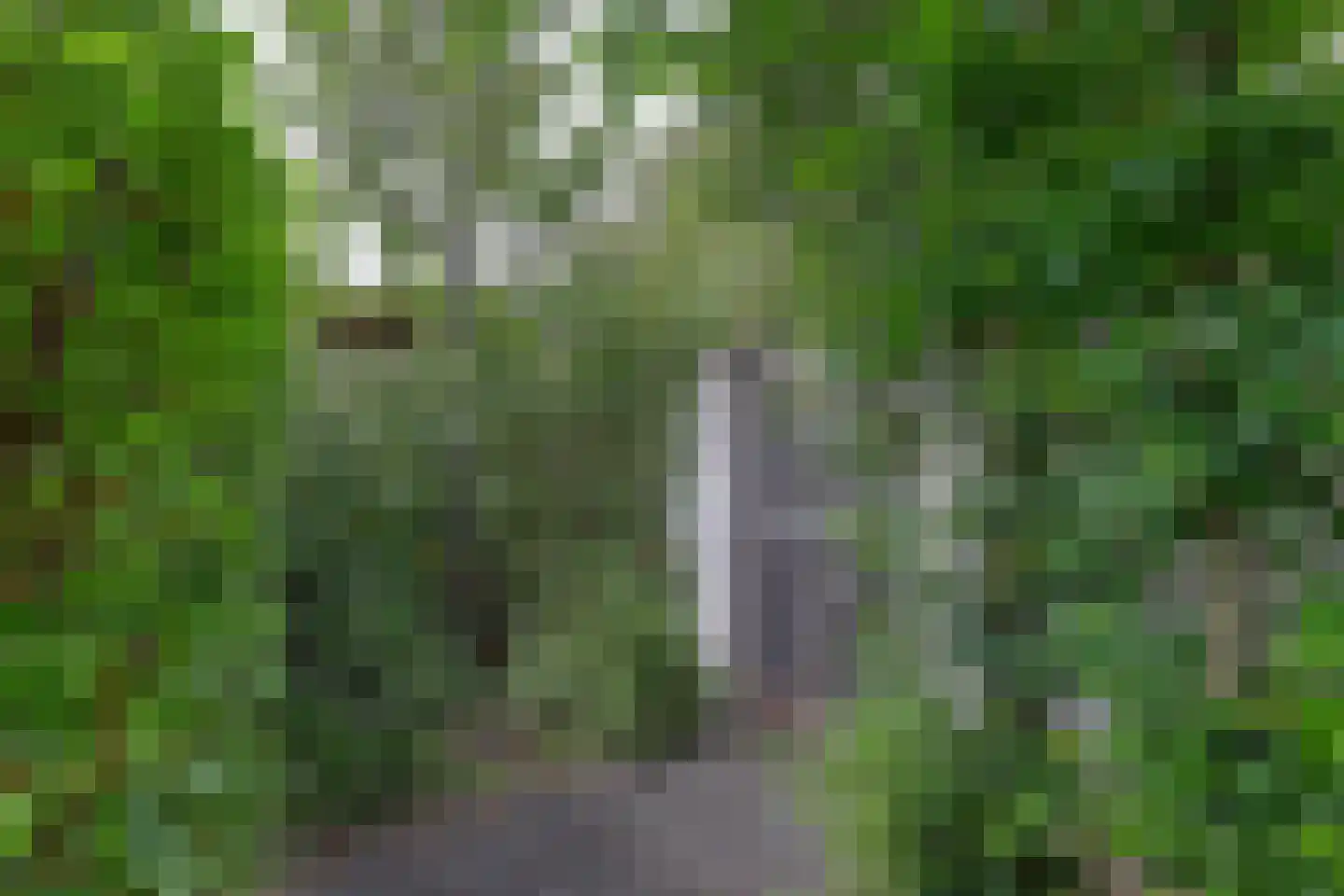 Mondriaanlaan 14 Wageningen thumbnail 50