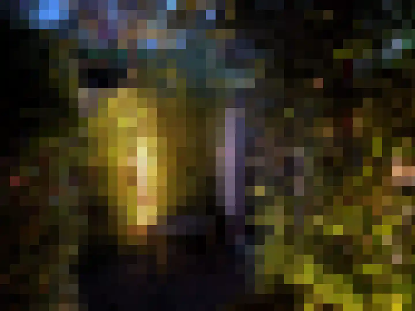 Mondriaanlaan 14 Wageningen thumbnail 65
