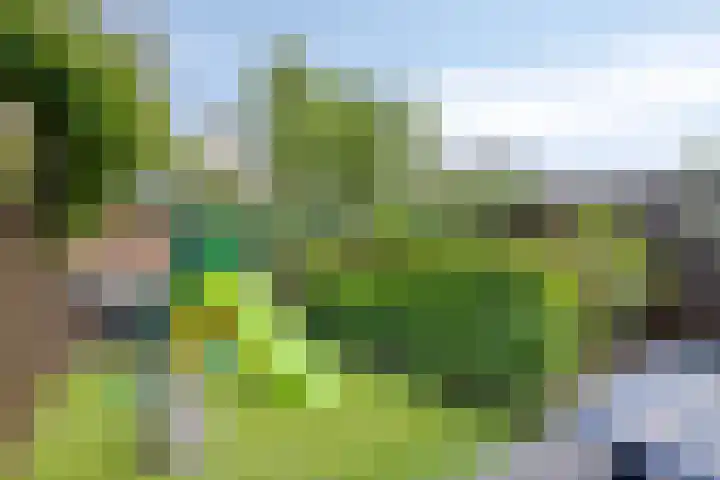 Mondriaanlaan 16 Lopik thumbnail 23