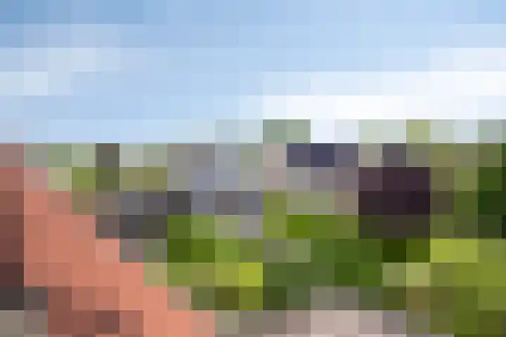 Mondriaanlaan 16 Lopik thumbnail 27