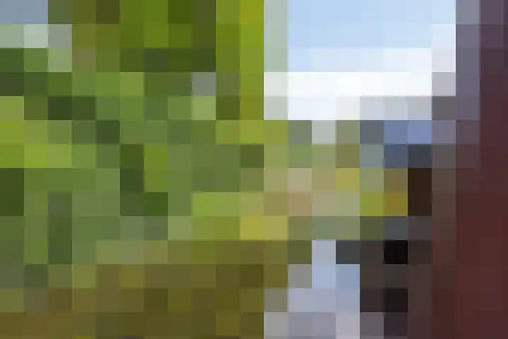 Mondriaanlaan 16 Lopik thumbnail 28