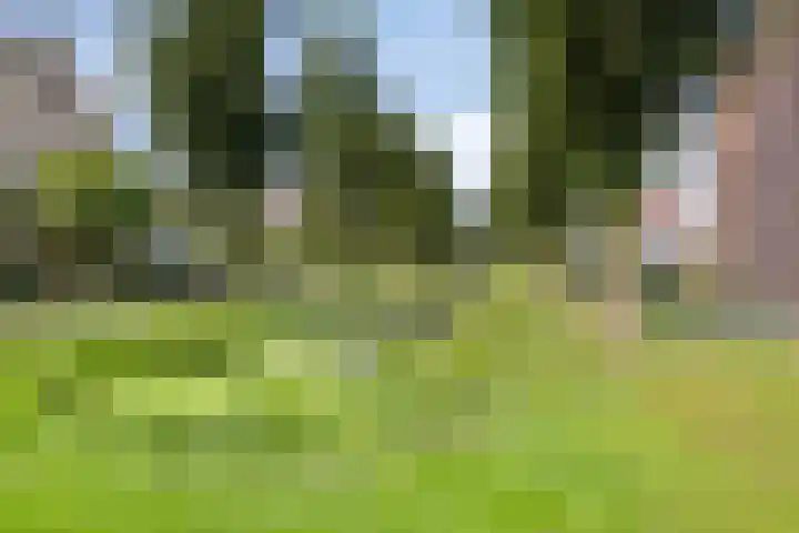 Mondriaanlaan 16 Lopik thumbnail 32