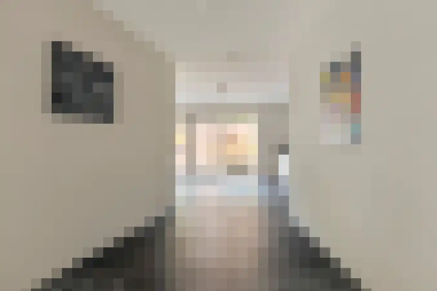 Mondriaanlaan 2 Oss thumbnail 11