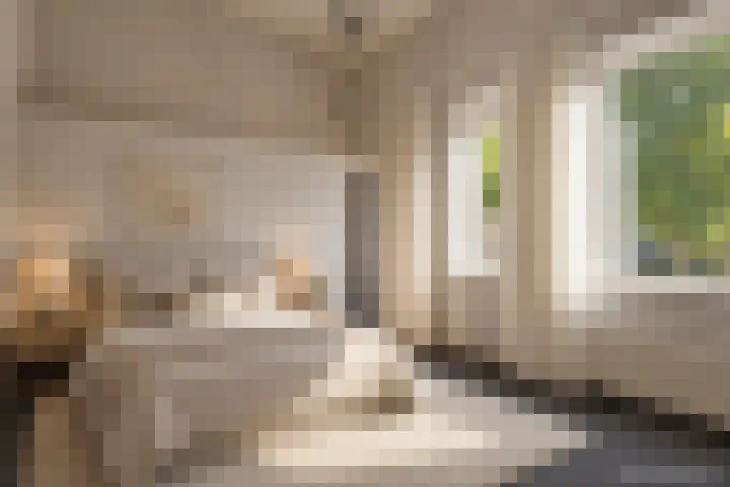 Mondriaanlaan 2 Oss thumbnail 4