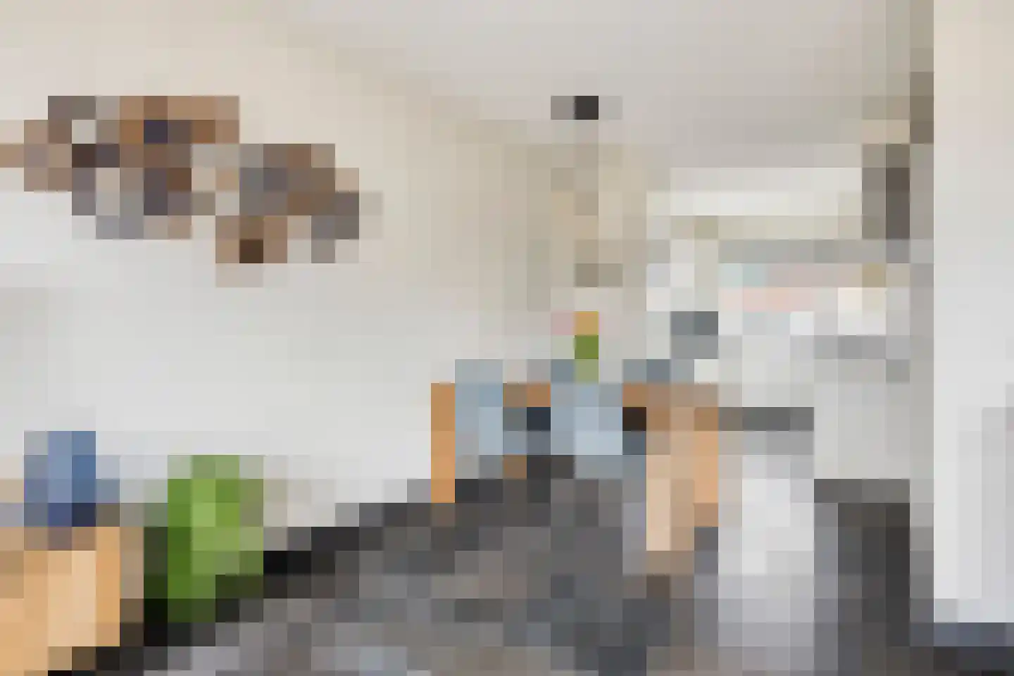 Mondriaanlaan 21 Heerhugowaard thumbnail 16