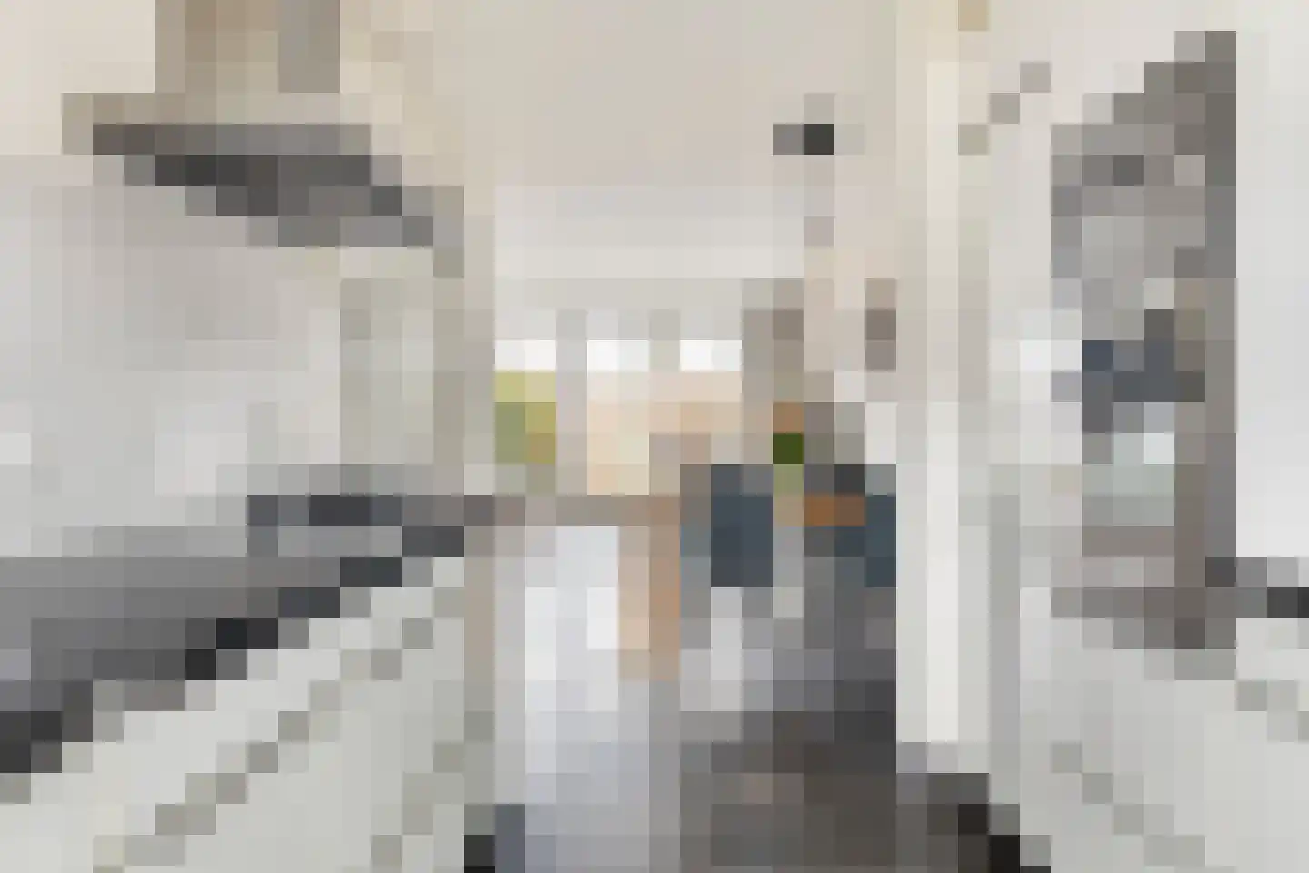 Mondriaanlaan 21 Heerhugowaard thumbnail 18