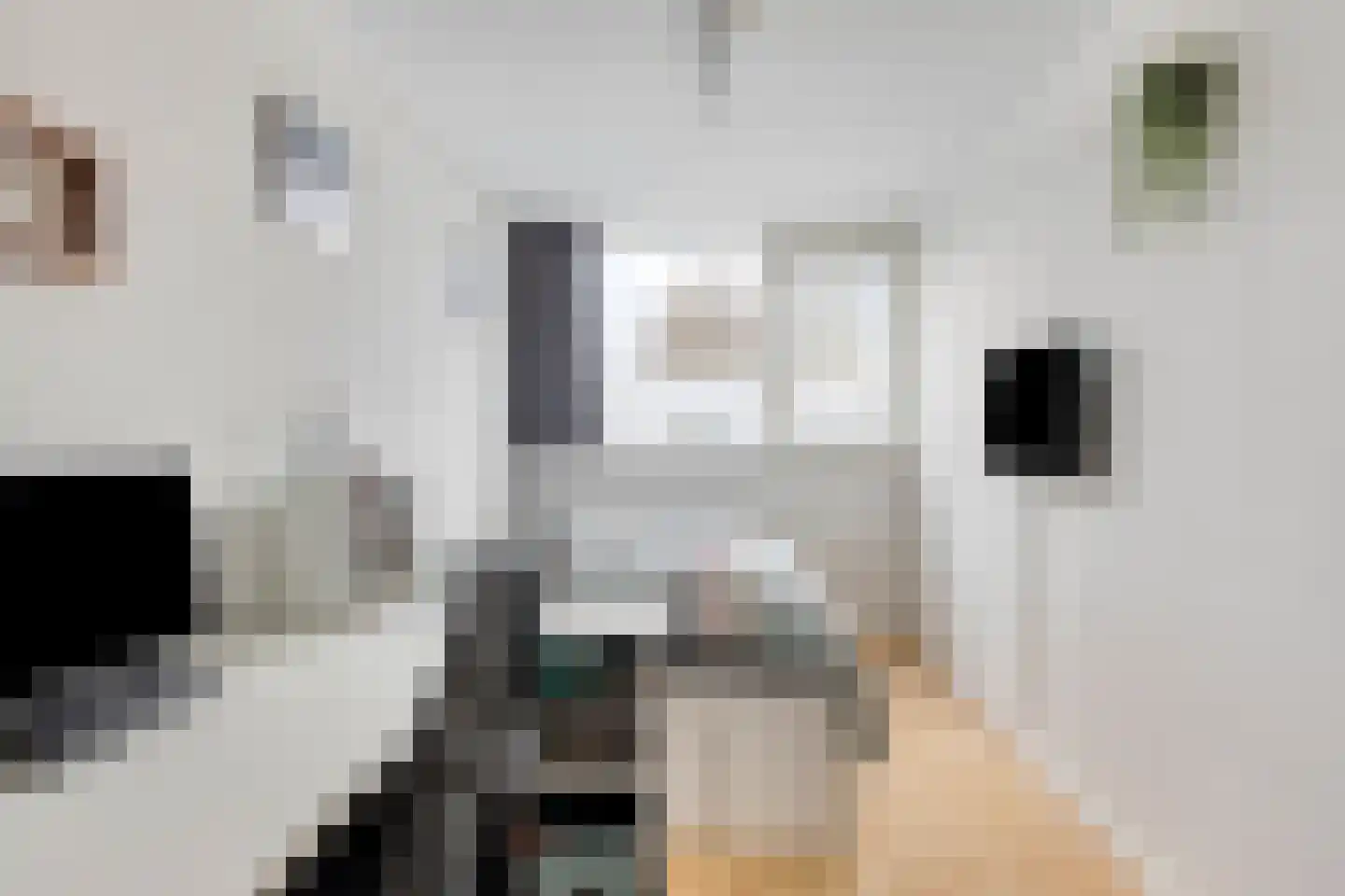 Mondriaanlaan 21 Heerhugowaard thumbnail 30
