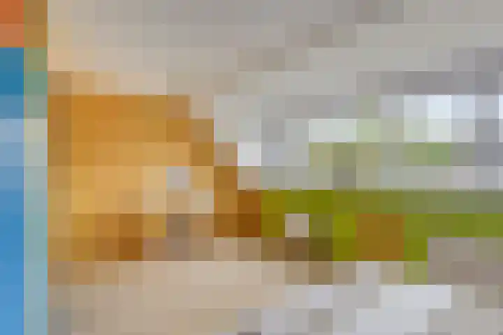Mondriaanlaan 21 Wageningen thumbnail 15