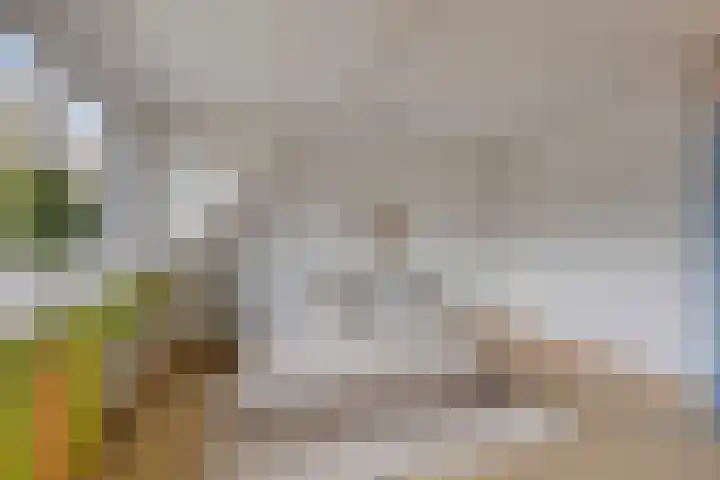 Mondriaanlaan 21 Wageningen thumbnail 17