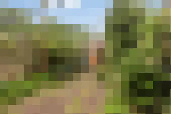 Mondriaanlaan 21 Wageningen thumbnail 27