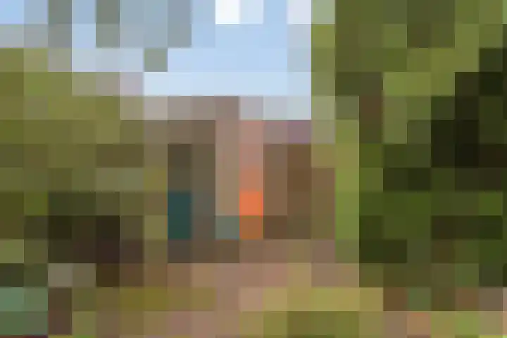 Mondriaanlaan 21 Wageningen thumbnail 28
