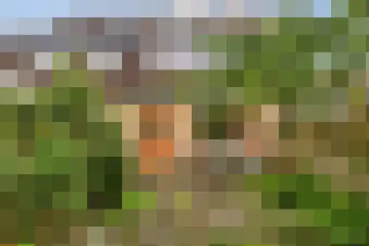 Mondriaanlaan 21 Wageningen thumbnail 29