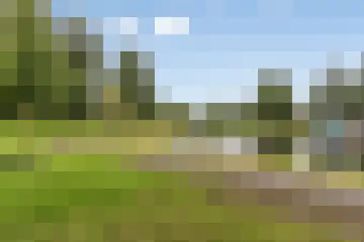 Mondriaanlaan 21 Wageningen thumbnail 33