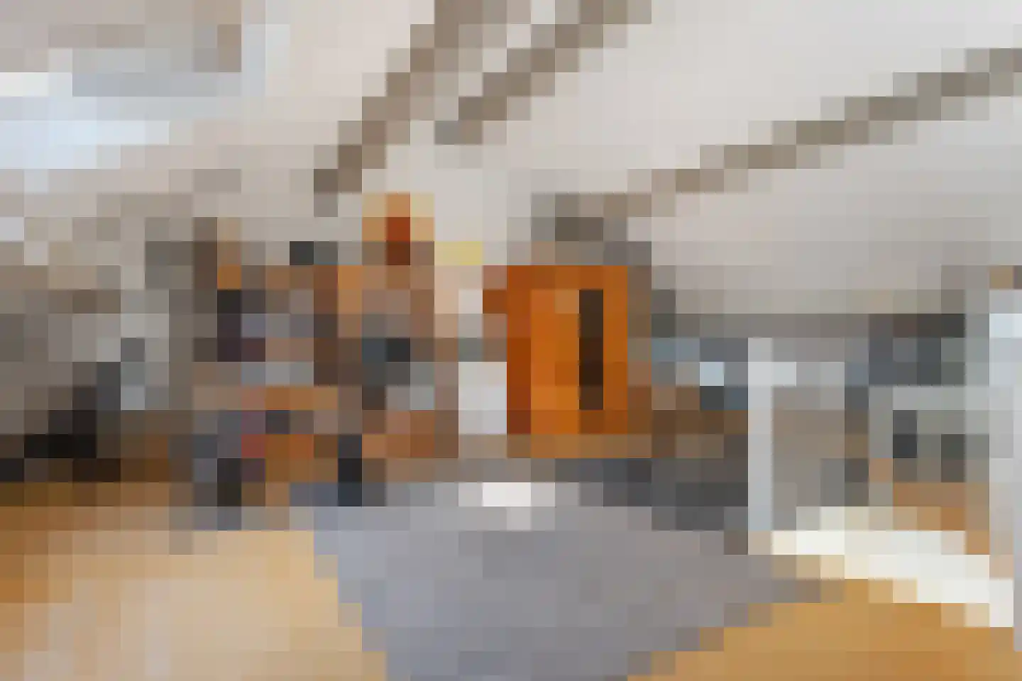 Mondriaanlaan 24 Veendam thumbnail 28