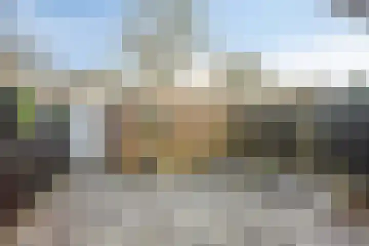 Mondriaanlaan 34 Heerhugowaard thumbnail 18
