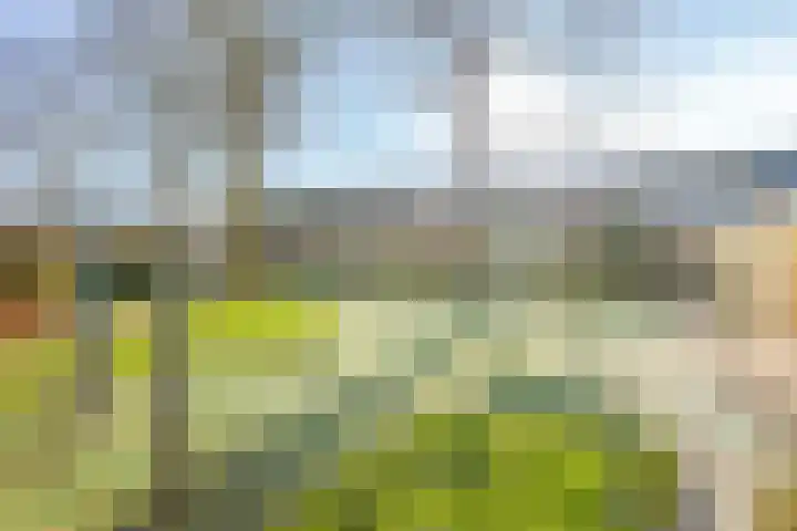 Mondriaanlaan 34 Heerhugowaard thumbnail 38