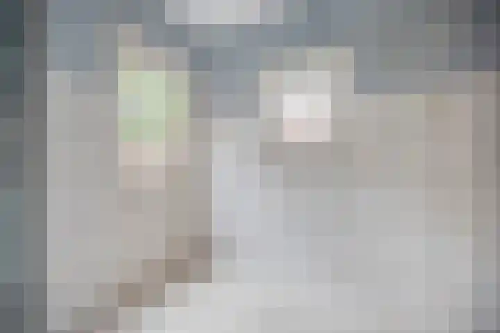 Mondriaanlaan 36 Heerhugowaard thumbnail 13