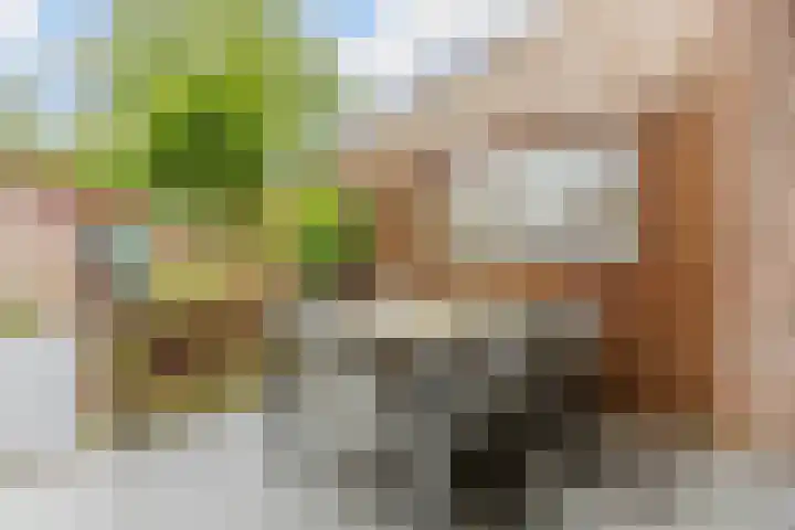 Mondriaanlaan 36 Heerhugowaard thumbnail 35