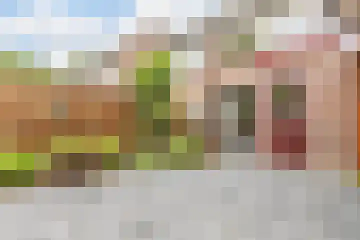 Mondriaanlaan 36 Heerhugowaard thumbnail 41
